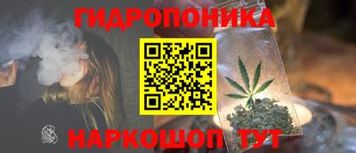 дурь Можга