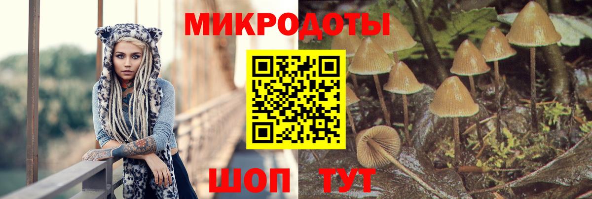 Новодвинск  Псилоцибиновые грибы Cubensis  Вход с VPN 